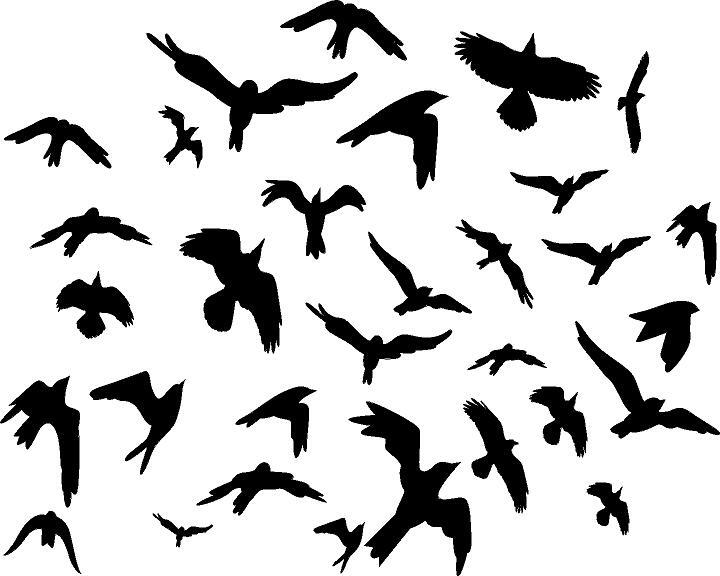Flock of Birds 20 Bird Set Vinyl Decal Home Décor Various Sizes 0.5" – 2" SMALL