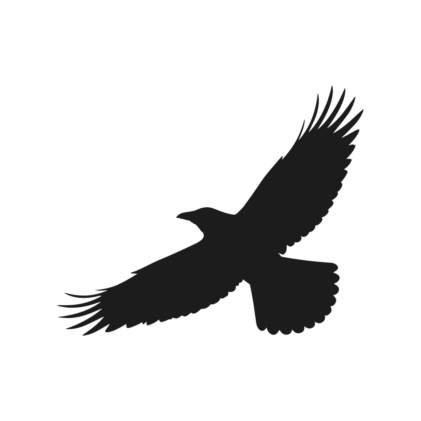Crow Flying Wildlife Bird Vinyl Decal Window Wild birds life Animals sticker