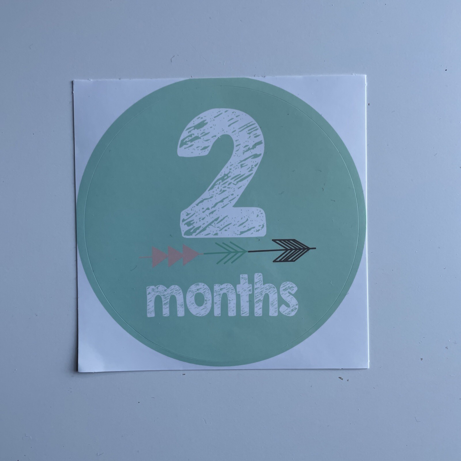 Monthly Baby Milestone Decal Stickers Set of 12 Gender Neutral Brand New
