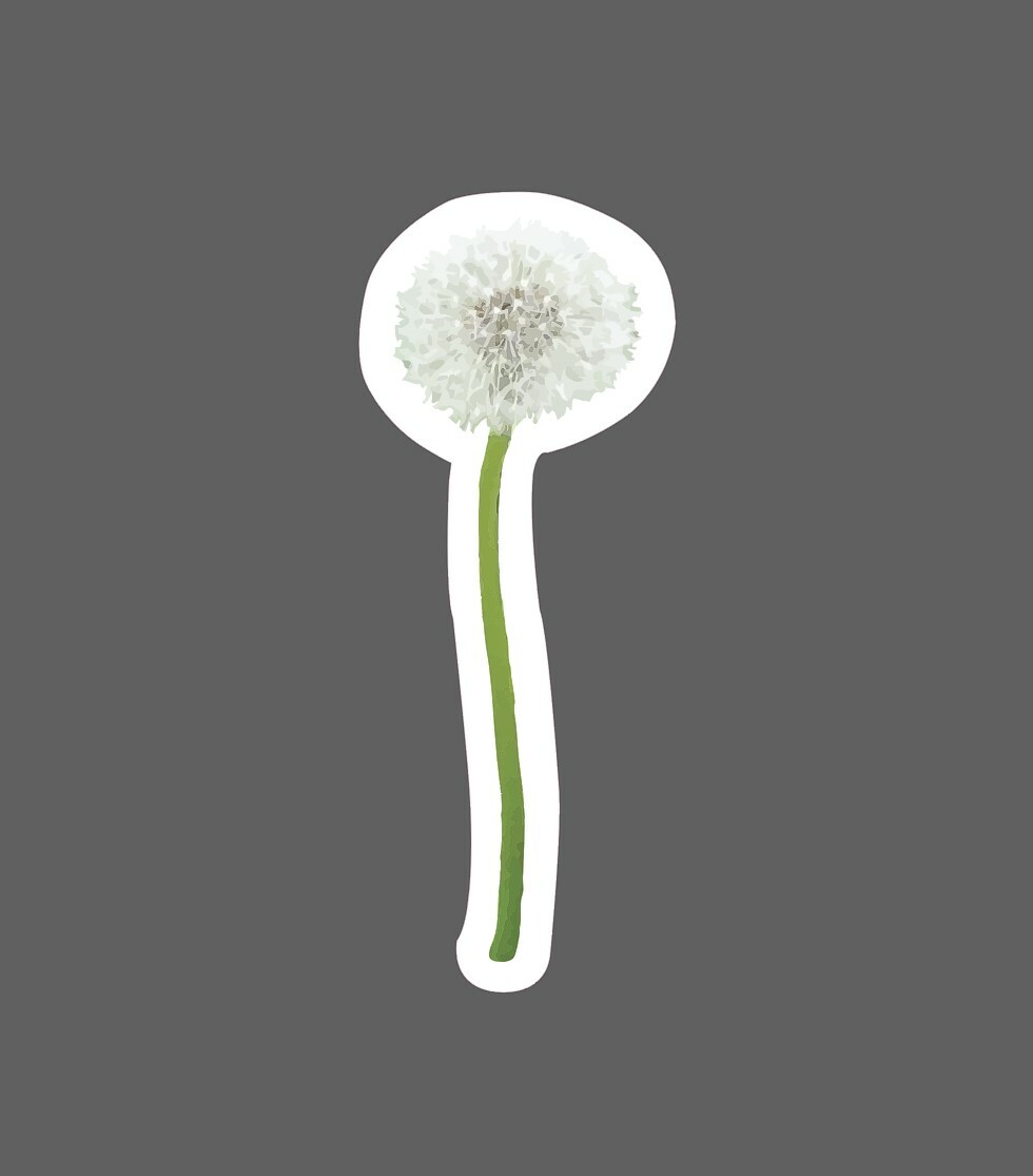 Dandelion Sticker Flower Wish Waterproof – Buy Any 4 For $1.75 Each Storewide!