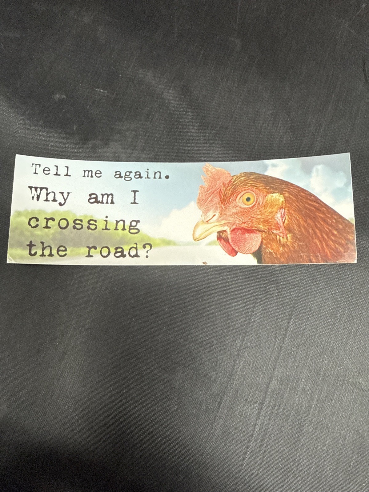 2000s Y2K Scholastic Book Fair Deep Ink Sticker Bookmark Tell Me Again Why Am I