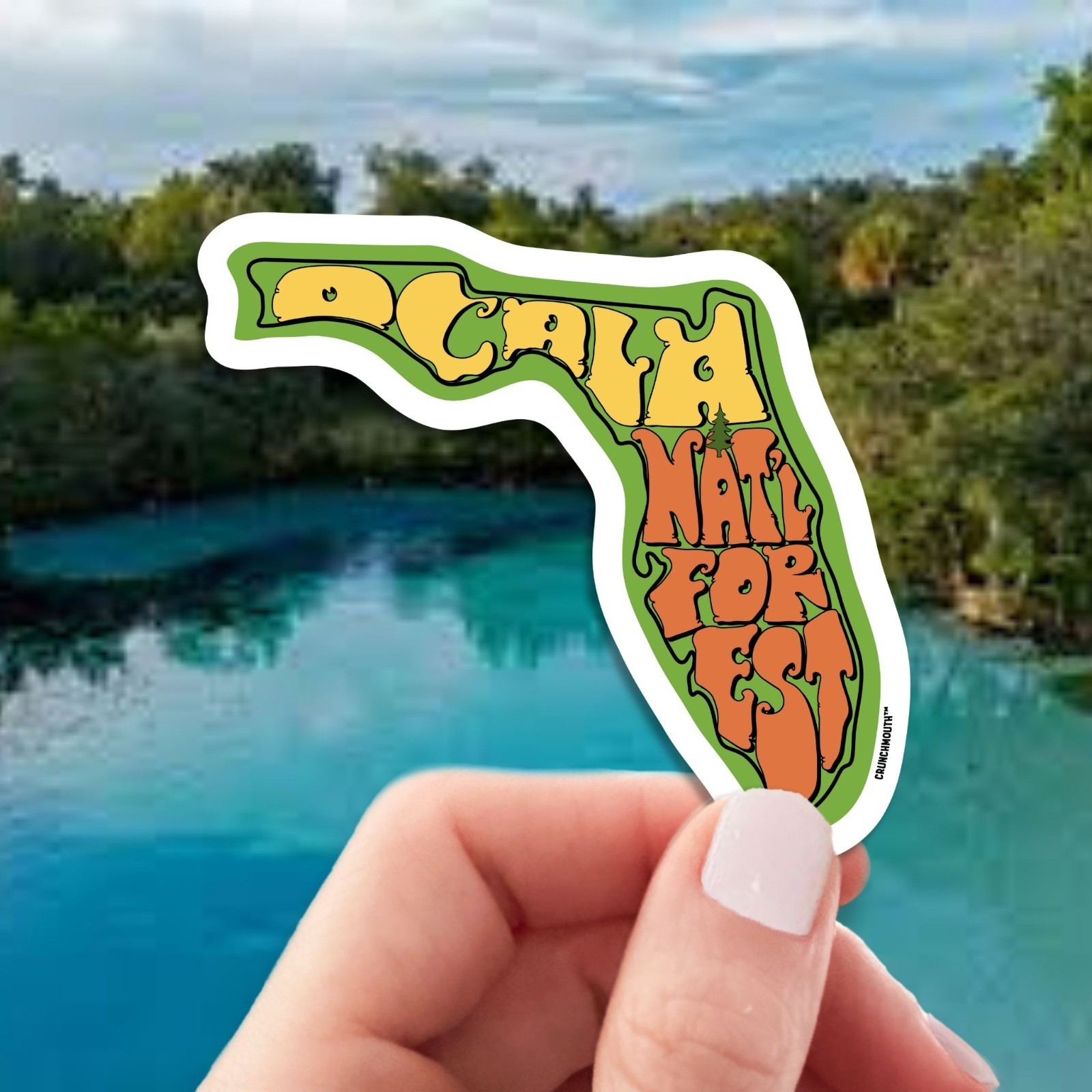 OCALA NATIONAL FOREST FLORIDA DECAL BUMPER STICKER LAPTOP WATER BOTTLE DECAL +
