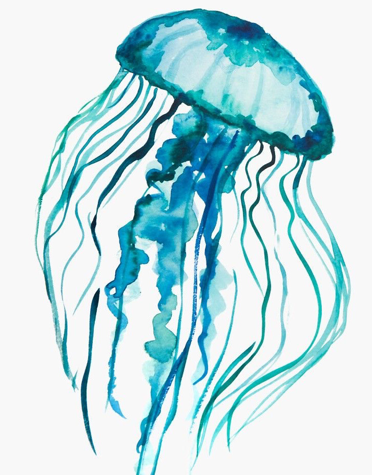 Jellyfish Sticker Watercolor Blue Ocean Animal Fish Sea Sail Beach Boat (4 Inch)