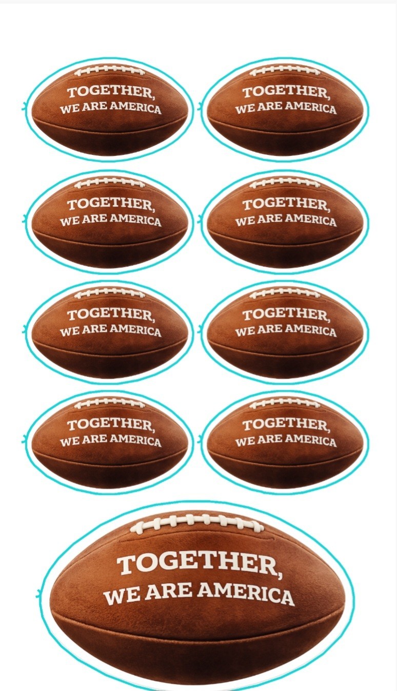 TOGETHER WE ARE AMERICA STICKER WATERPROOF Decal 4×7 inches sheet