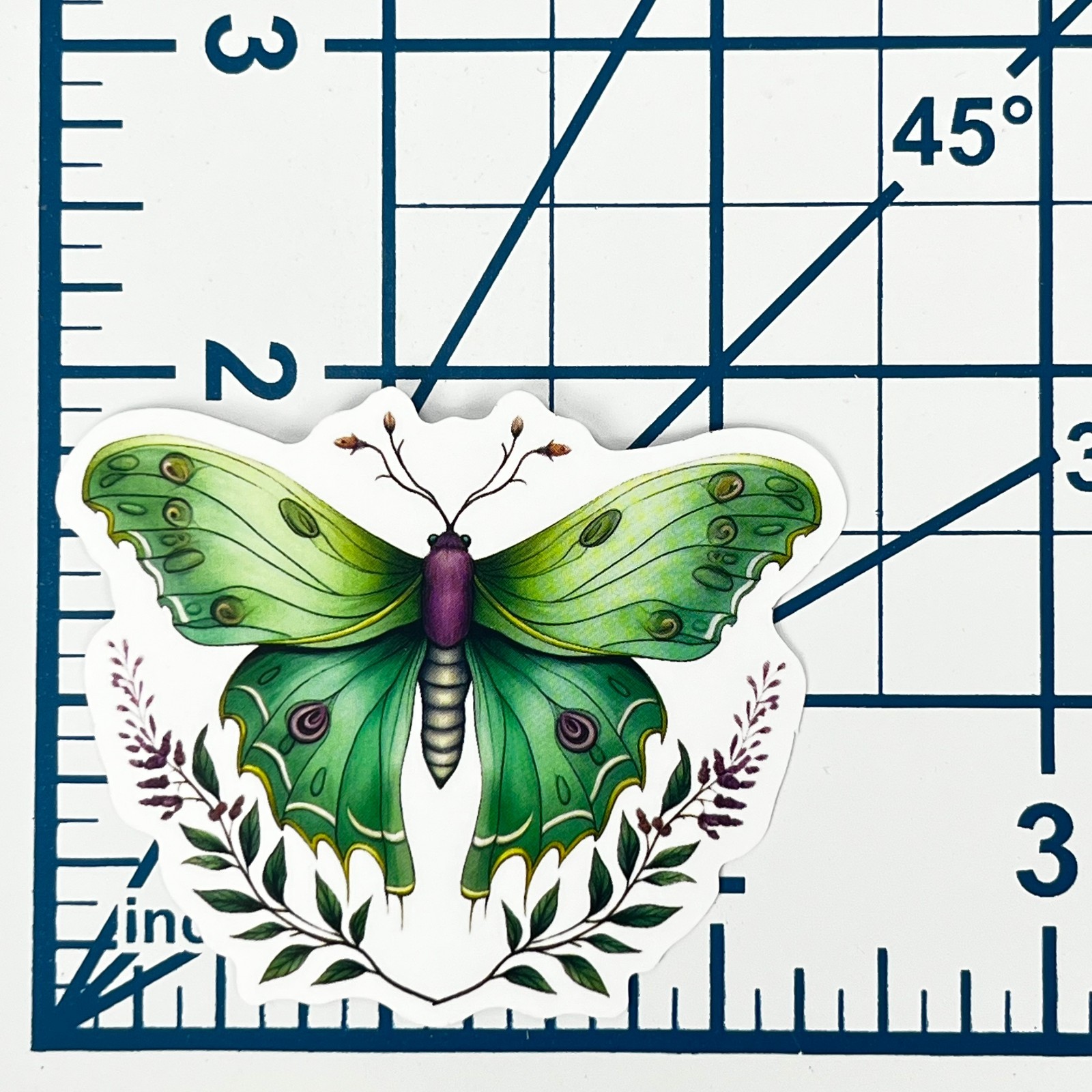 Lime Floral Swallowtail Moth Vinyl Sticker Vintage Butterfly Insect Journal