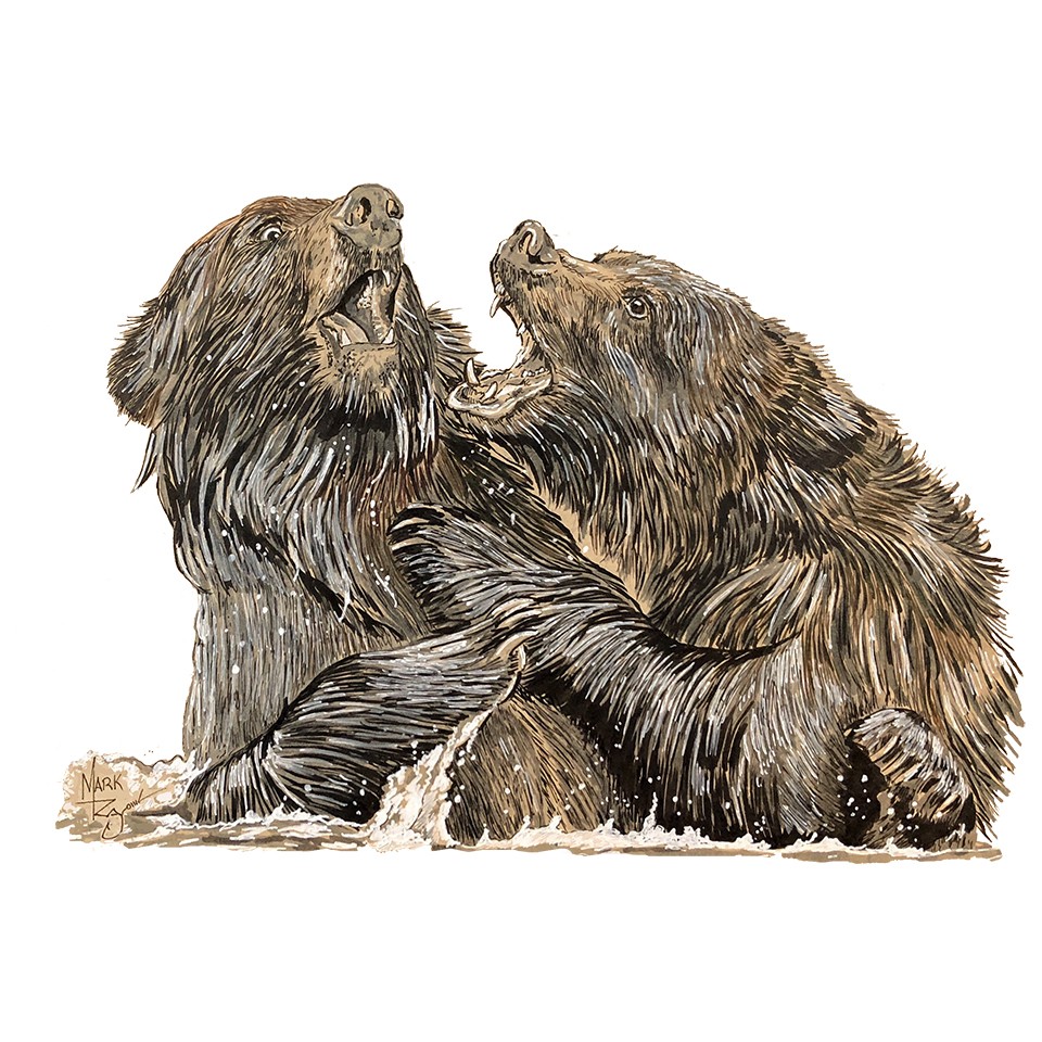 Decal Vinyl Sticker Grizzly Bears – Pen & Ink Made in USA