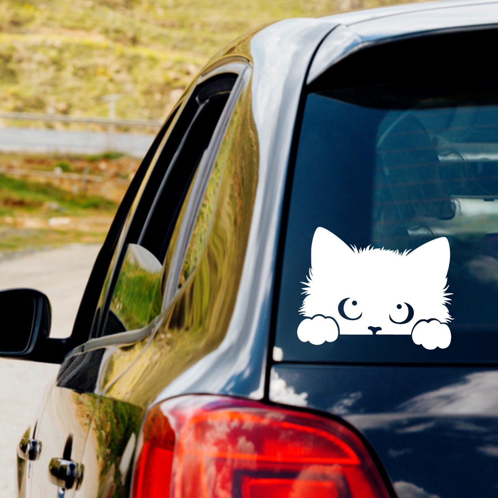 Peeking Cat Kitten Kitty Vinyl Decal Sticker Car Truck Window Laptop