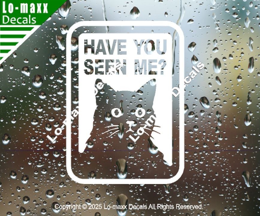 Have You Seen Me Lost Cat Sticker Art Funny Vinyl Decal For Laptop Door Locker
