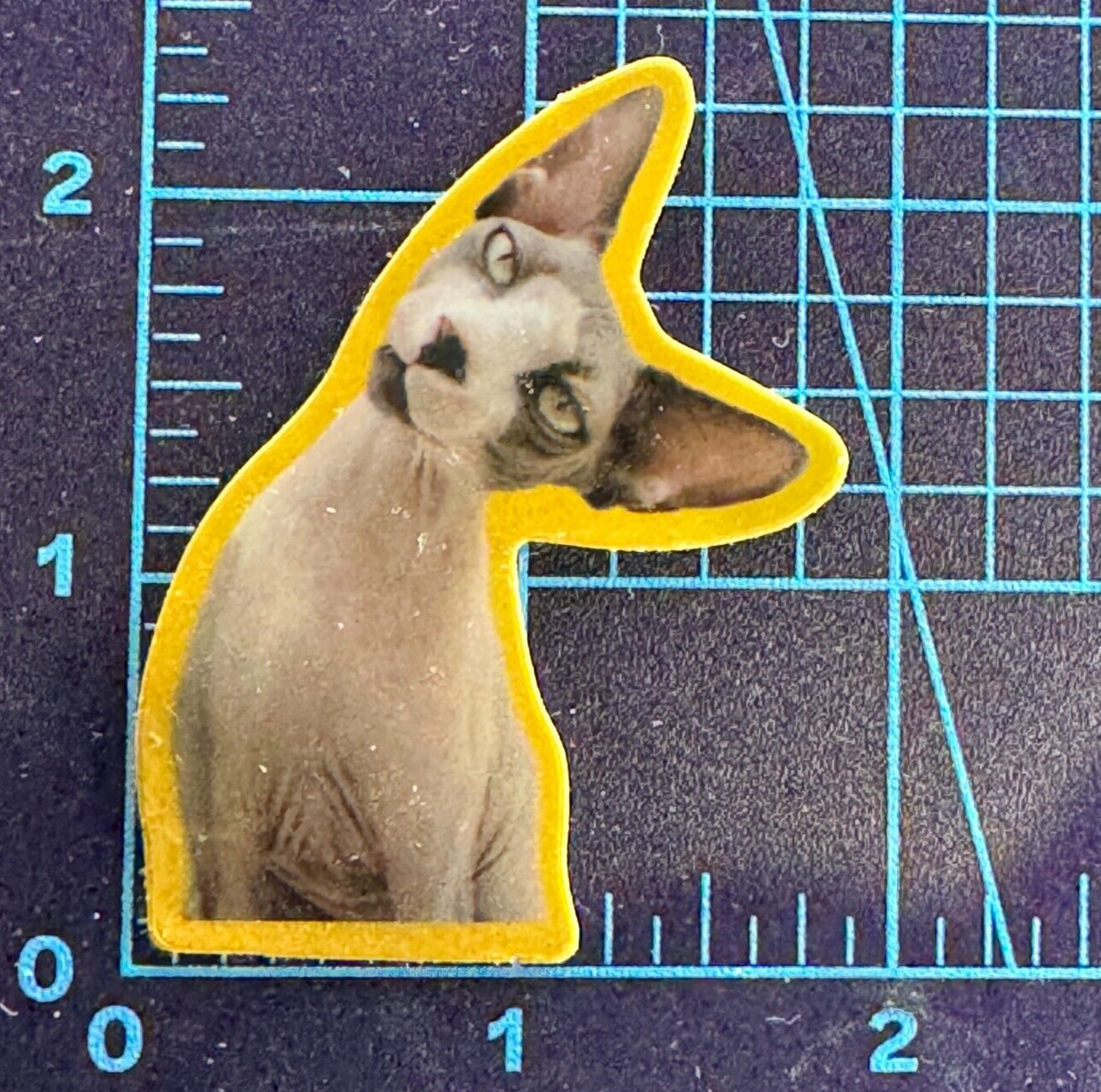 Cat Giving You The Side Eye Yellow – Vinyl Sticker Decal Sticker Bomb Humor Cool
