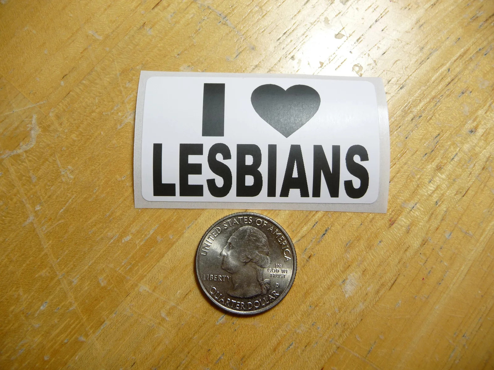 I LOVE LESBIANS STICKER DECAL 1 – 50 BULK PACK FUNNY GAY SUPPORT PRANK