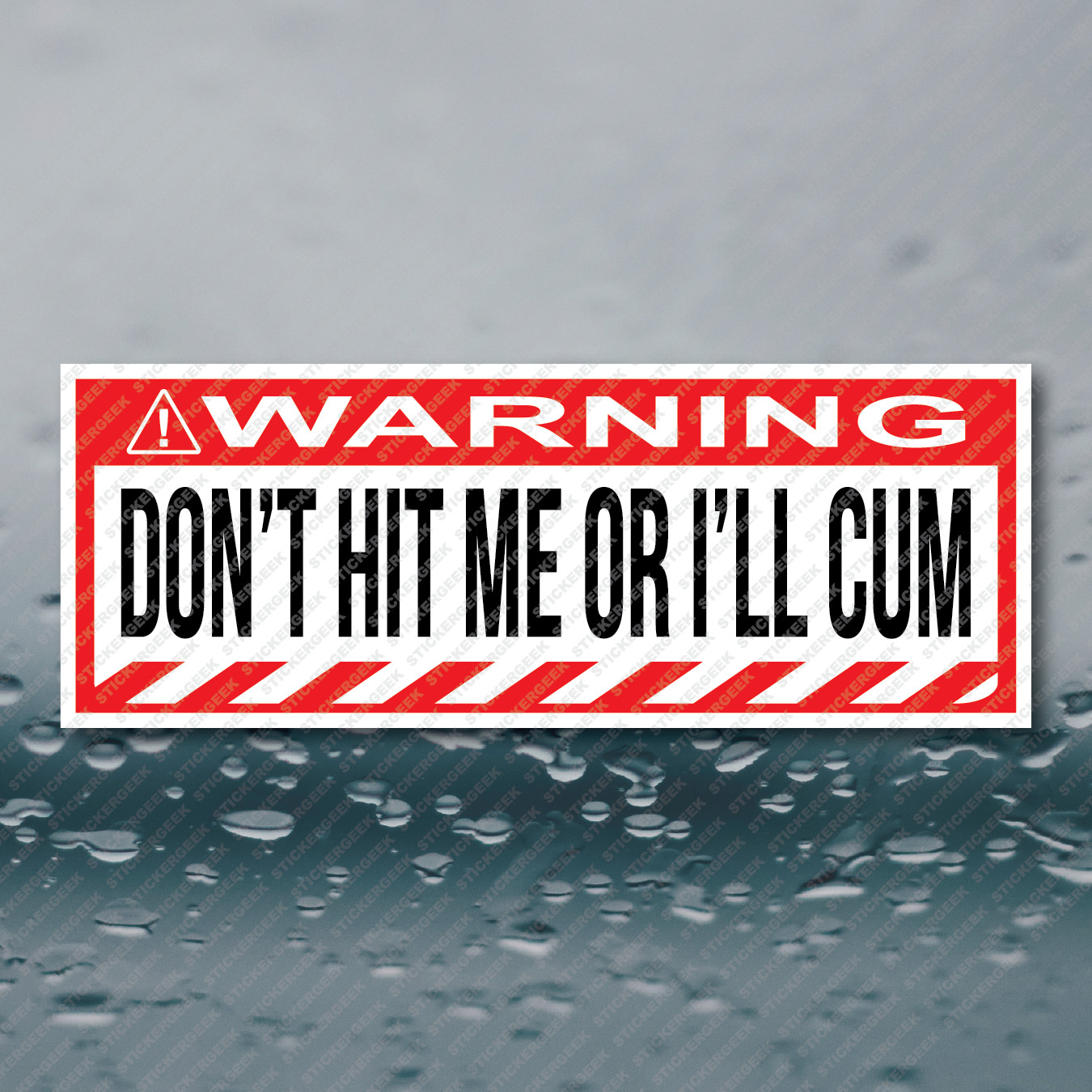 WARNING DON'T HIT ME OR I'LL CUM Funny Gag Joke Prank Bumper Sticker