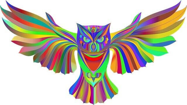 Rainbow Owl Sticker Decal