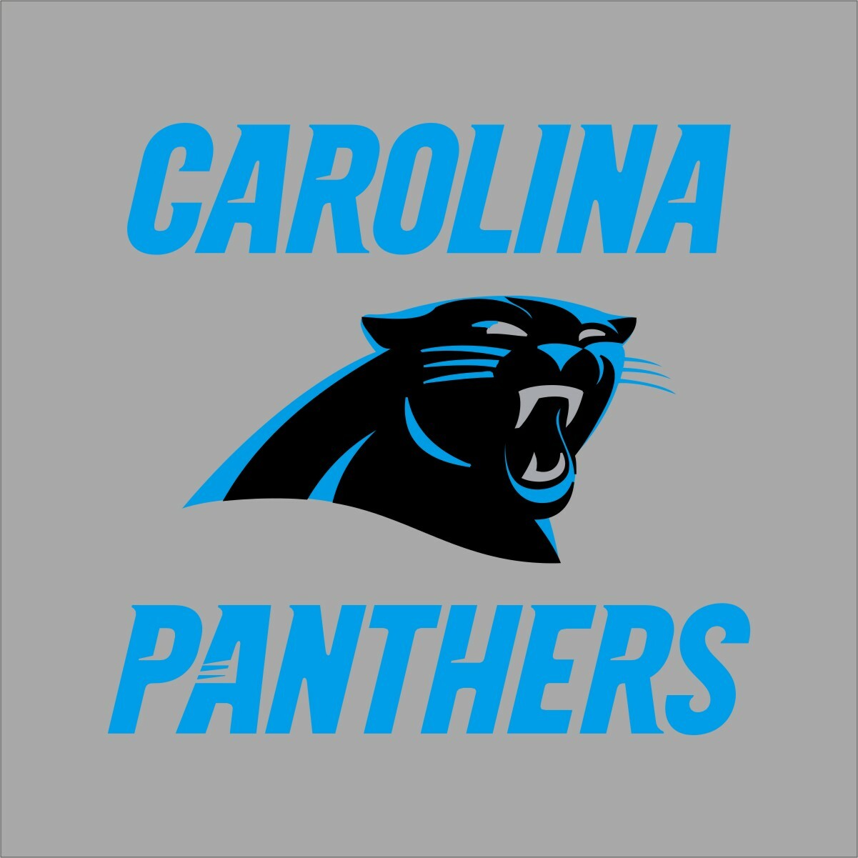 Carolina Panthers #7 NFL Team Pro Sports Vinyl Sticker Decal Car Window Wall