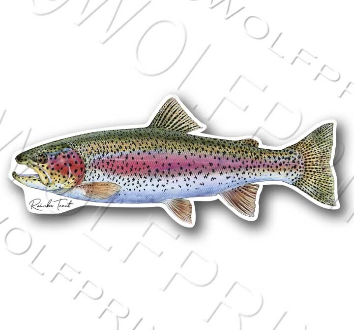 Northern Pike Fish Sticker 6" or 11" Wide Walleye Bass Boat Car Window Decal