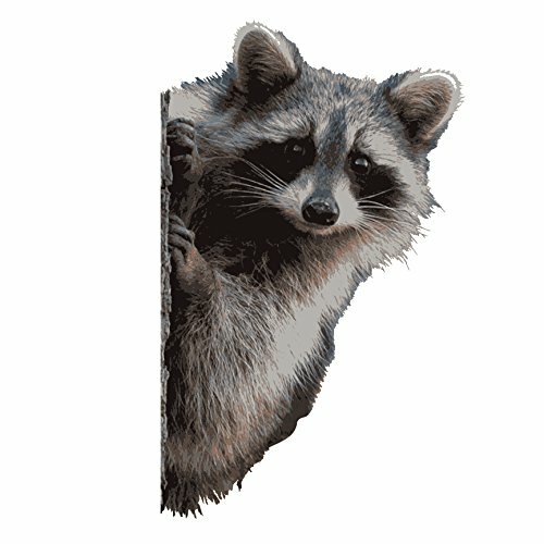 Raccoon Peering Around Wall Decal – 7" wide x 11" tall