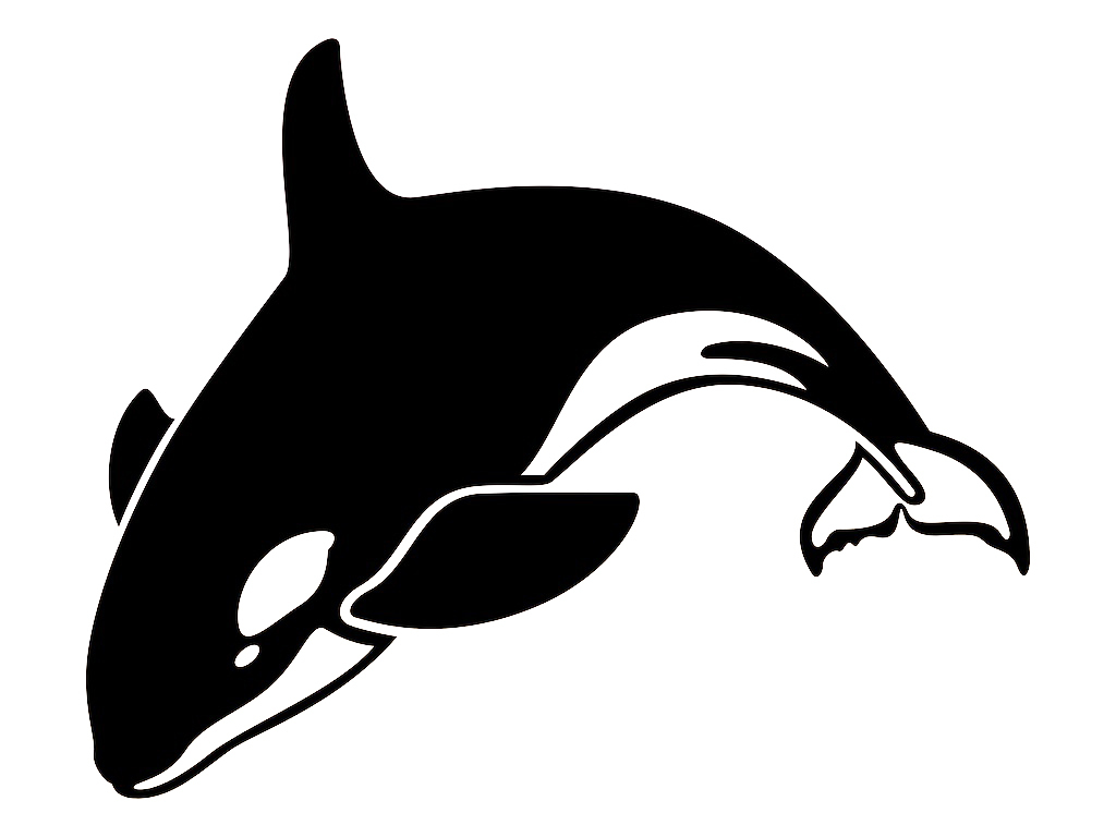 4" X 6" Killer Whale Vinyl Decal Sticker for Cup Home Window Wall Door Laptop