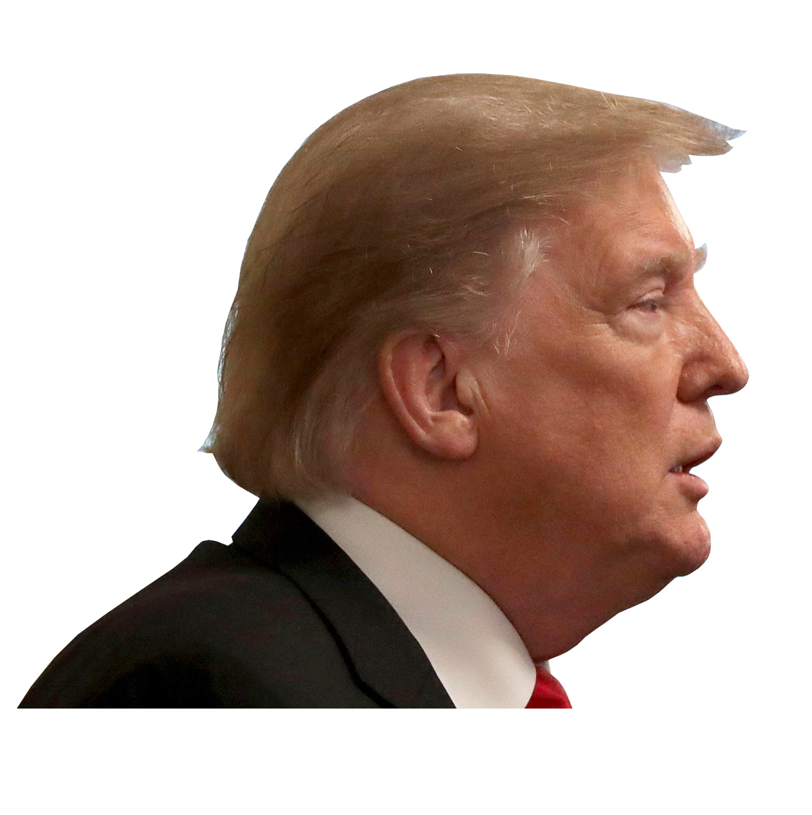 Donald Trump 45 Peeping Window Sticker President Watching Peeking FREE SHIPPING
