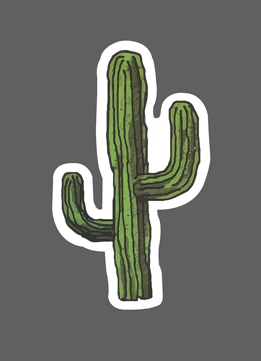 Cactus Sticker Desert Waterproof – Buy Any 4 For $1.75 Each Storewide!