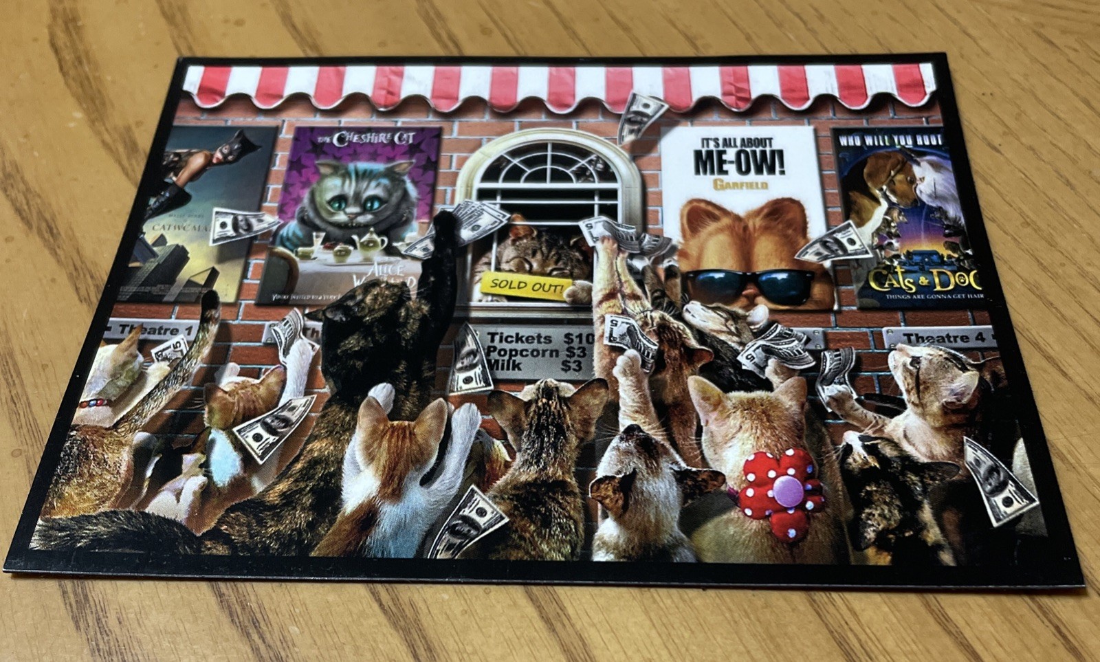 Large Magnet: The Ultimate PU$$Y Magnet – Making It Rain (For CAT LOVERS)