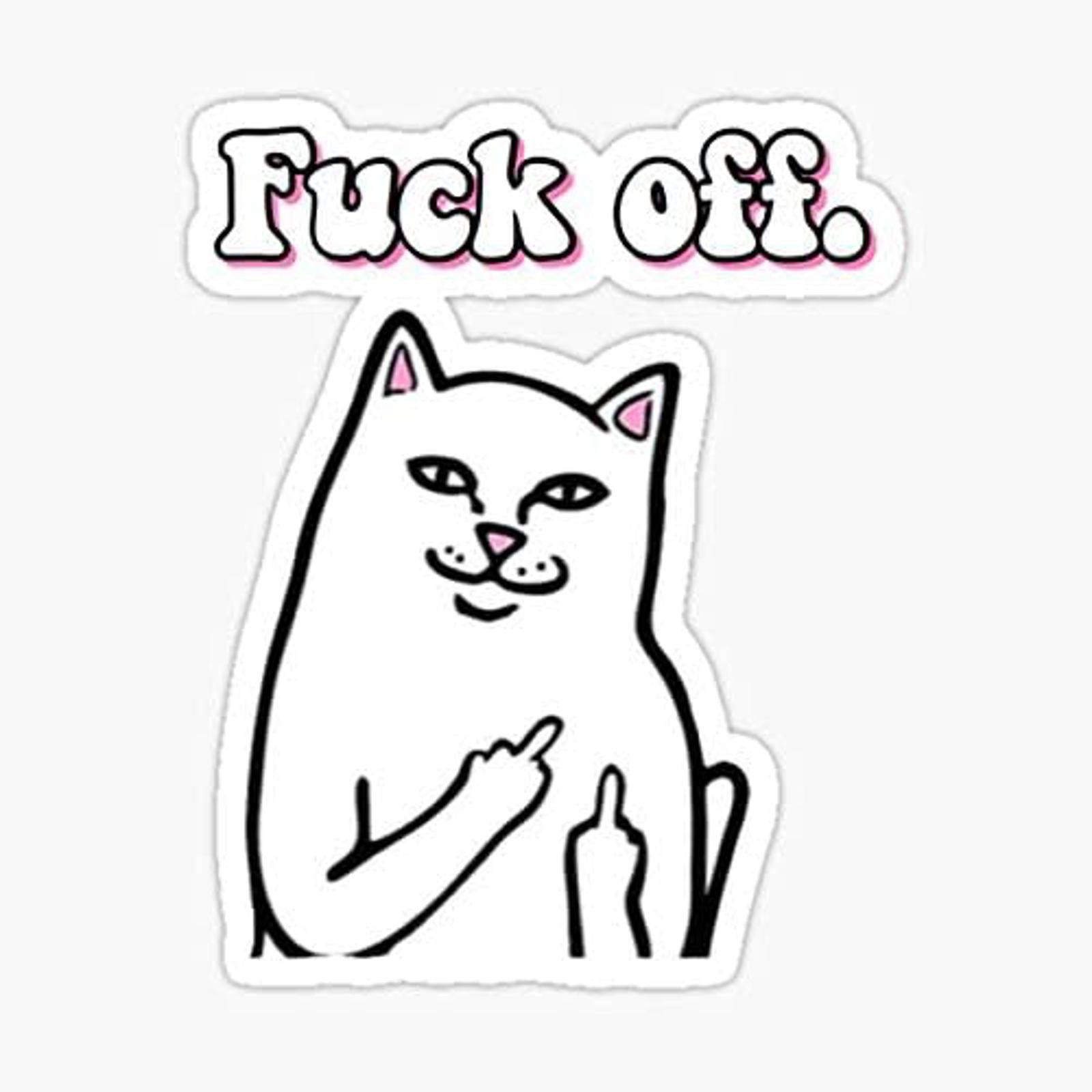 5" Middle Finger Birds Up Cat Meme Vinyl Bumper Sticker