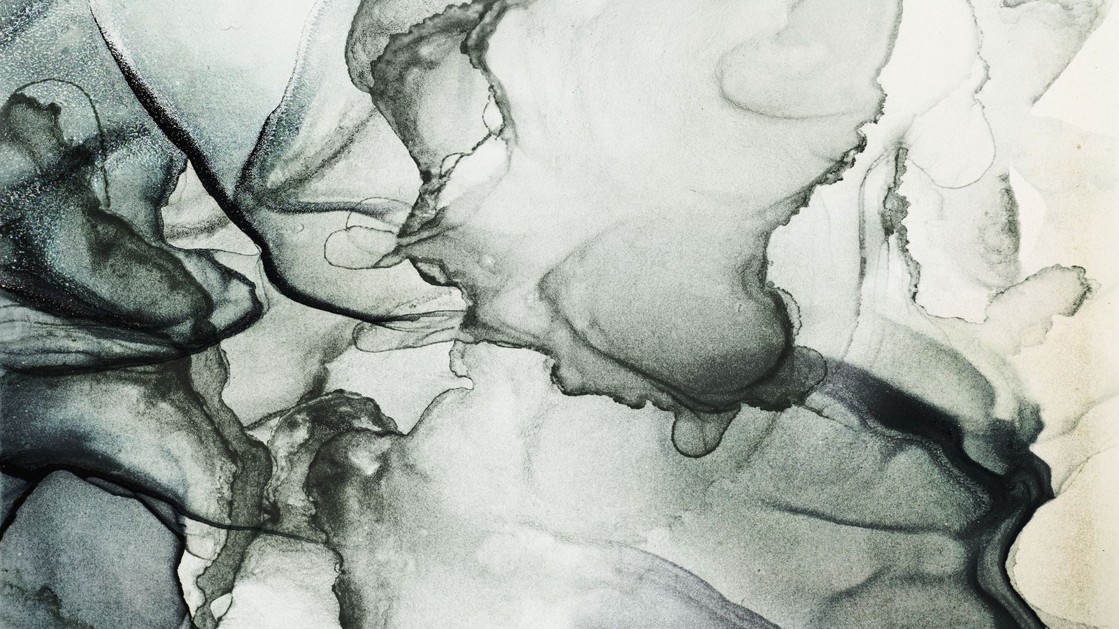 Abstract Black and White Fluid Alcohol Ink Painting Wall Mural. Peel and Stick W