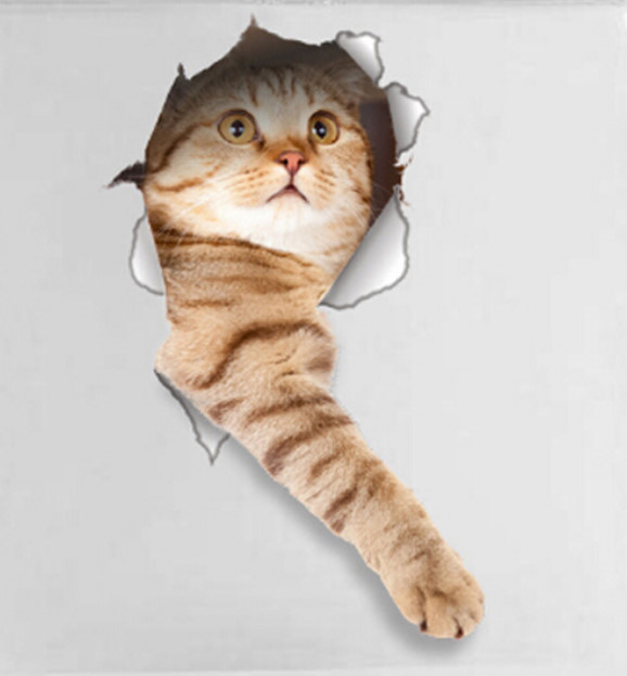 CAT IN A HOLE 3D Removable 13" x 7" Die-cut Wall / Refrigerator Decal (14148)