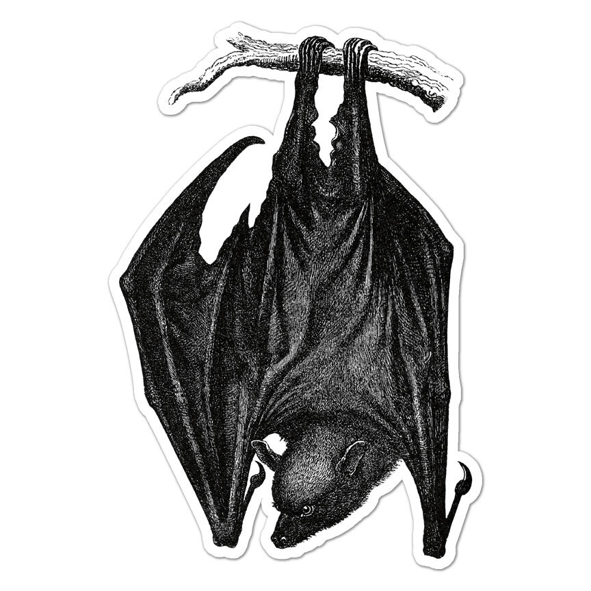 Hanging Bat, Vinyl Decal Sticker, Indoor Outdoor, 3 Sizes, #9643