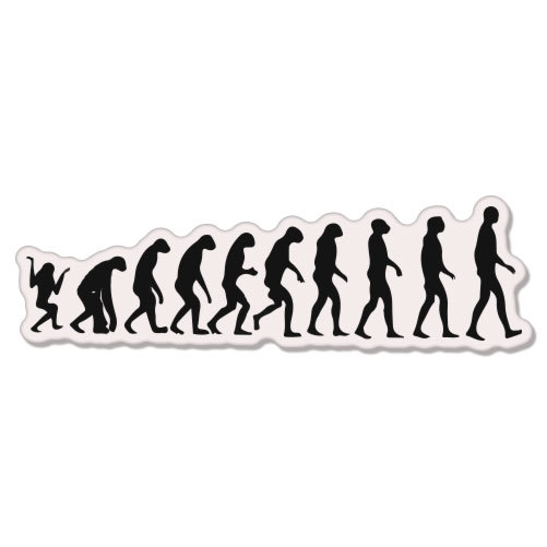 Evolution Darwin Monkey Apes car bumper sticker decal 8" x 3"