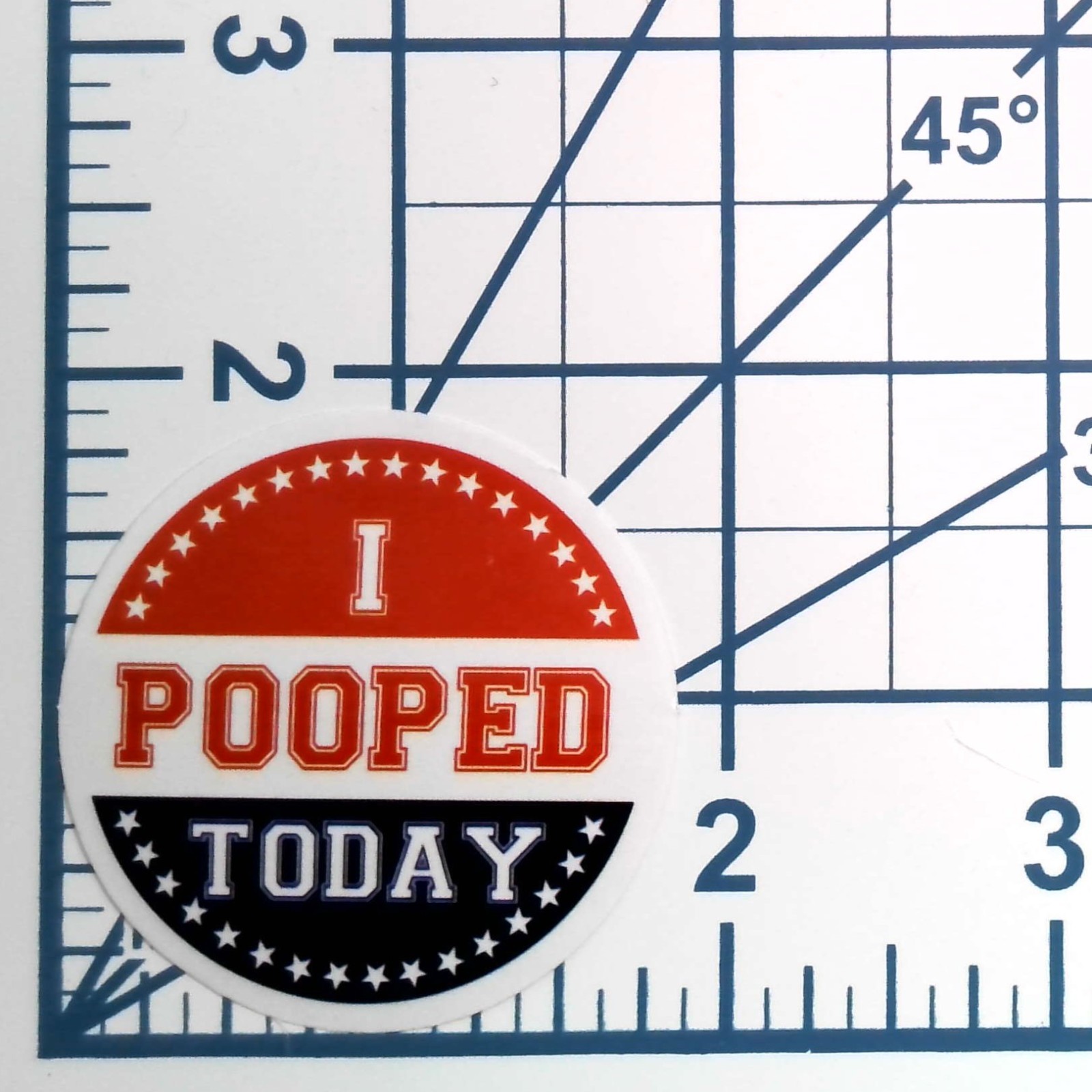 I Pooped Today Vinyl Sticker Funny Political Parody Novelty Gag Gift Humor Decal