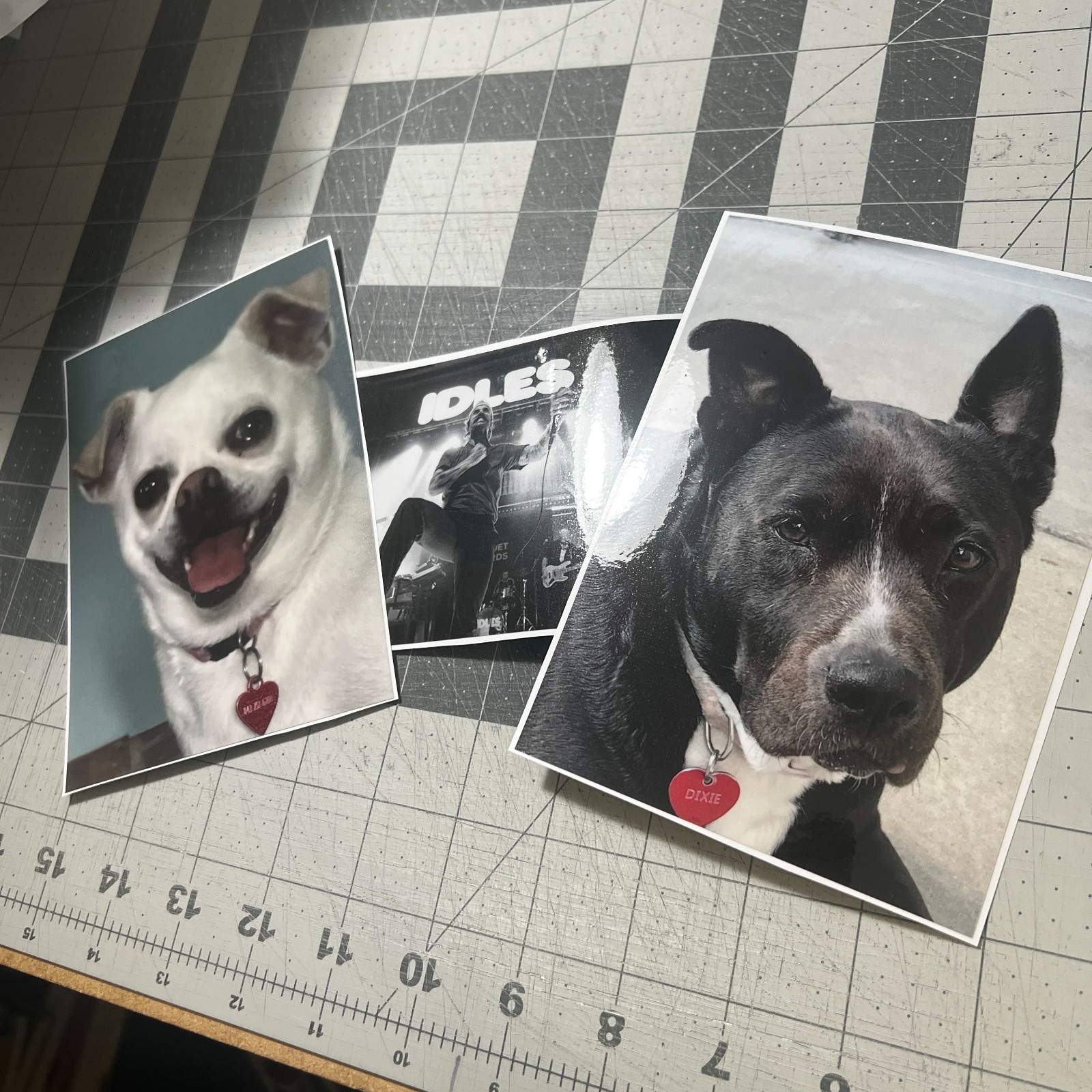 Custom Logo Decal from File or Photos – Your FULL COLOR Printed Logo or Design