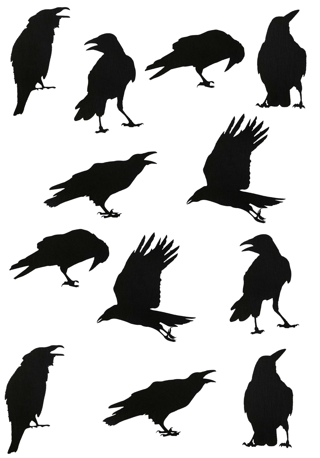 Black Crow Stickers