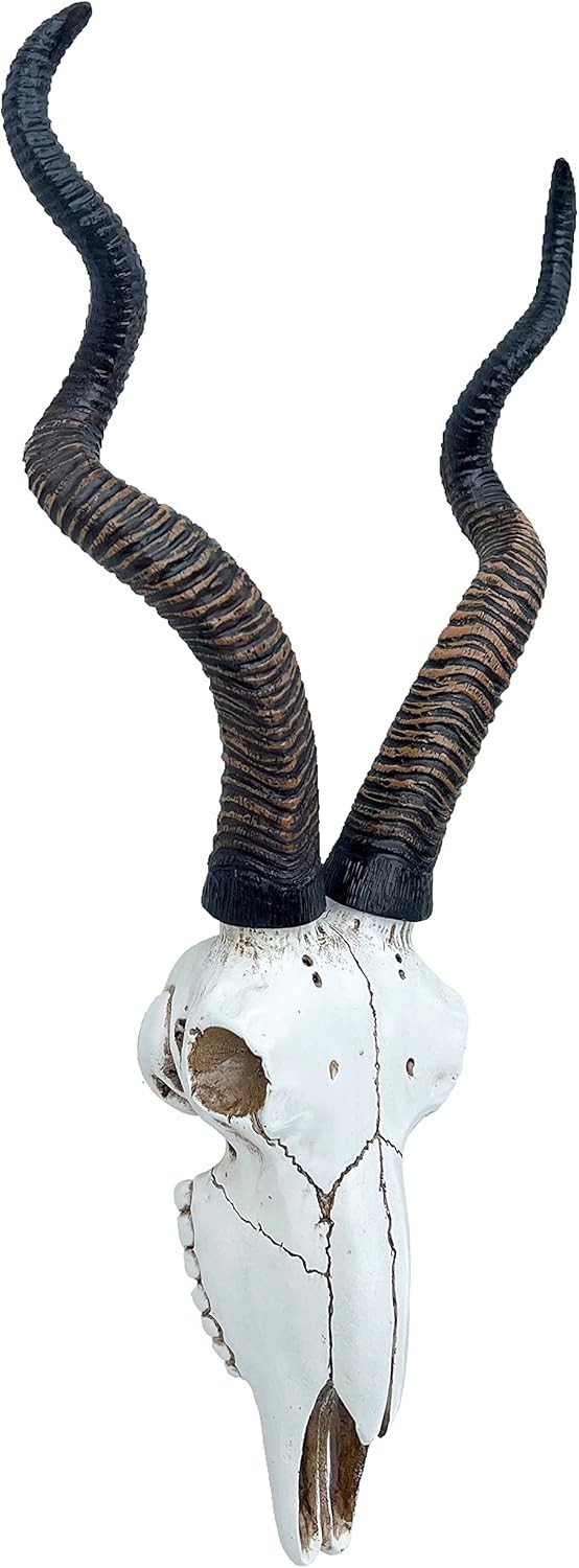 14 1/2" African Kudu Antelope Skull – Wall Mount Head – Rustic Safari Decor