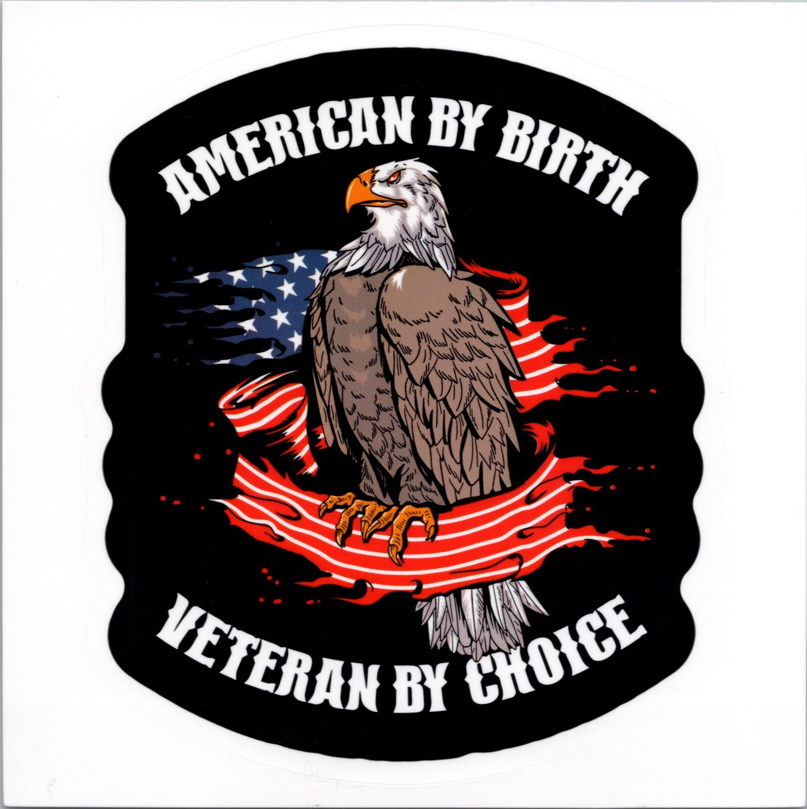 AMERICAN BY BIRTH ~ VETERAN BY CHOICE – Vinyl – 4.25in x 3.5in
