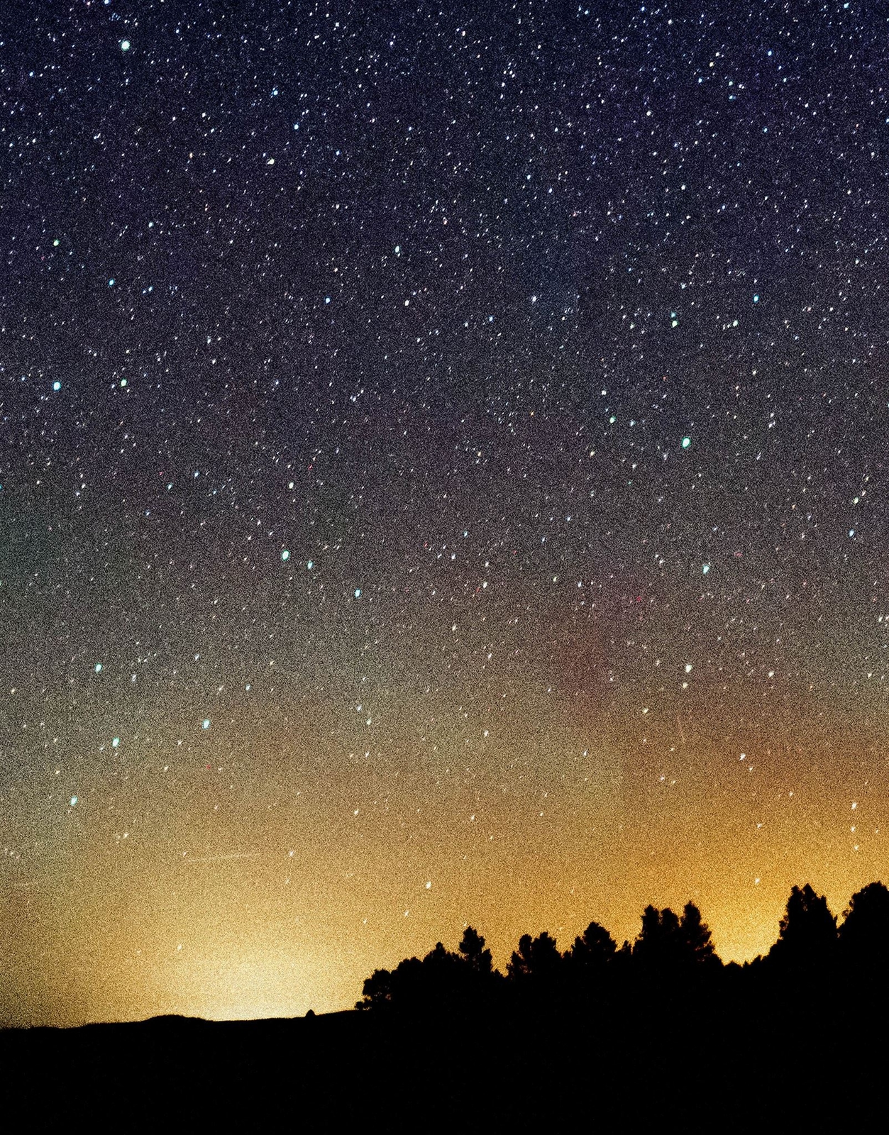 Milky Way Galaxy Stars Wall Mural. Starry Night Over Devils Tower National Monum