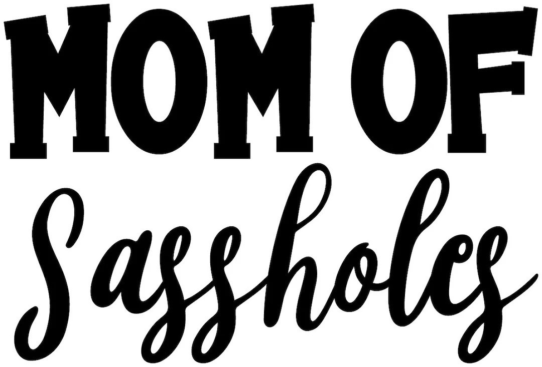Vinyl Decal for Window – Mom of Sassholes, Various Colors & Sizes