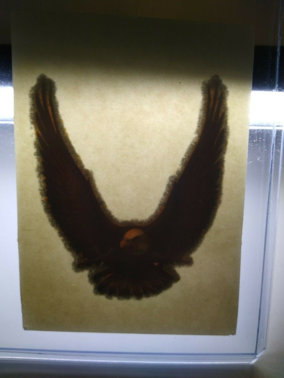 Screamin Gleamin Glitter Iron-On Transfer Decal Donruss 1970s Chevy Camaro Eagle