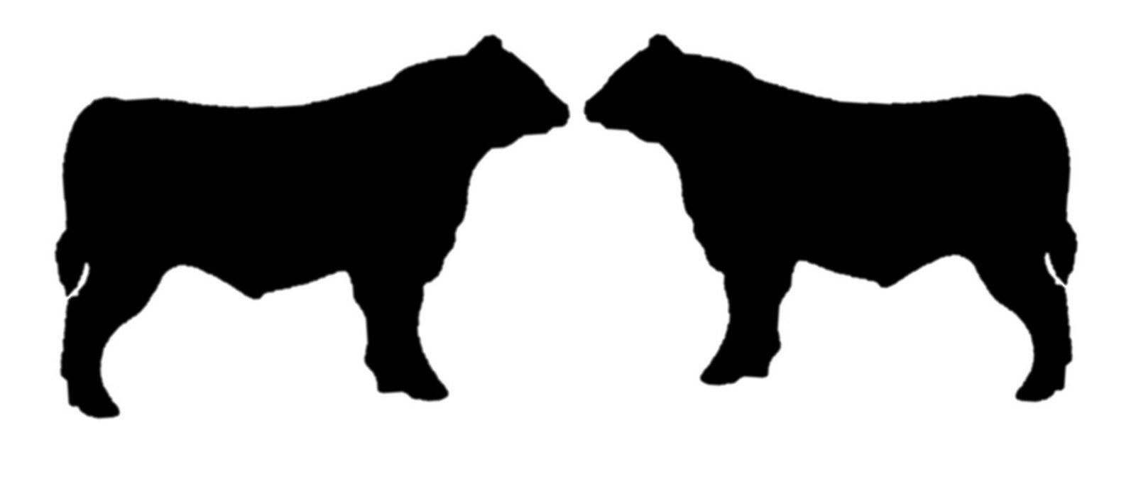 Bull Decals Stickers OS 155 (12 x 18" – 2 decal set) angus hereford cattle cow