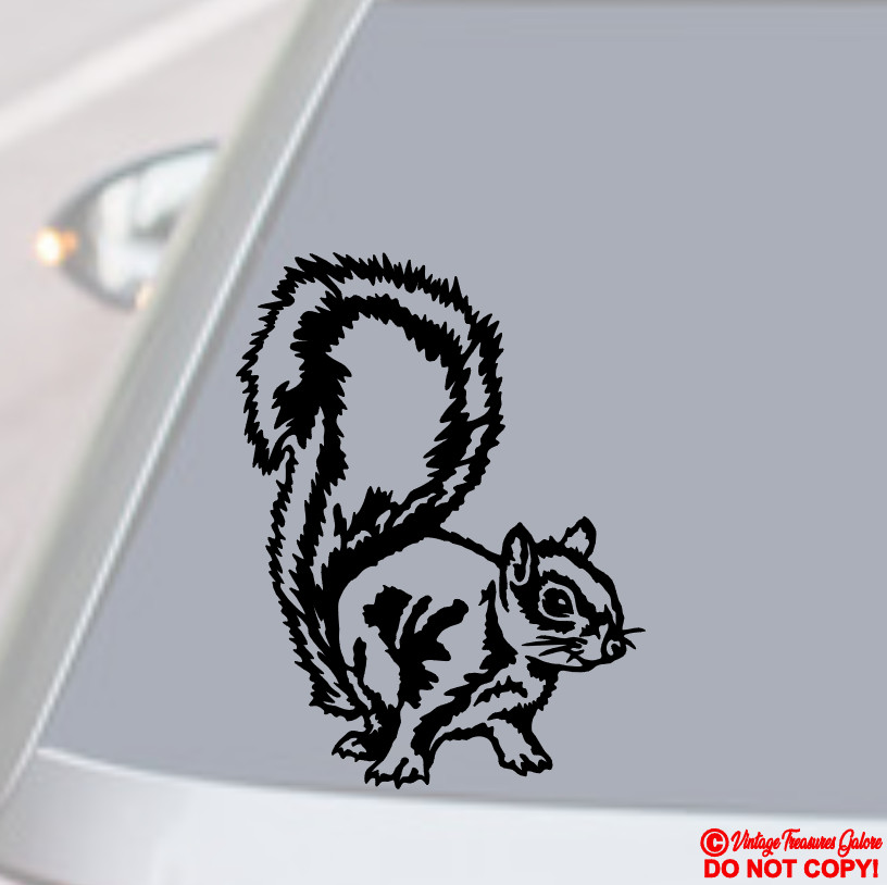 SQUIRREL Vinyl Decal Sticker Car Rear Window Wall Bumper Animal Rodent Funny JDM