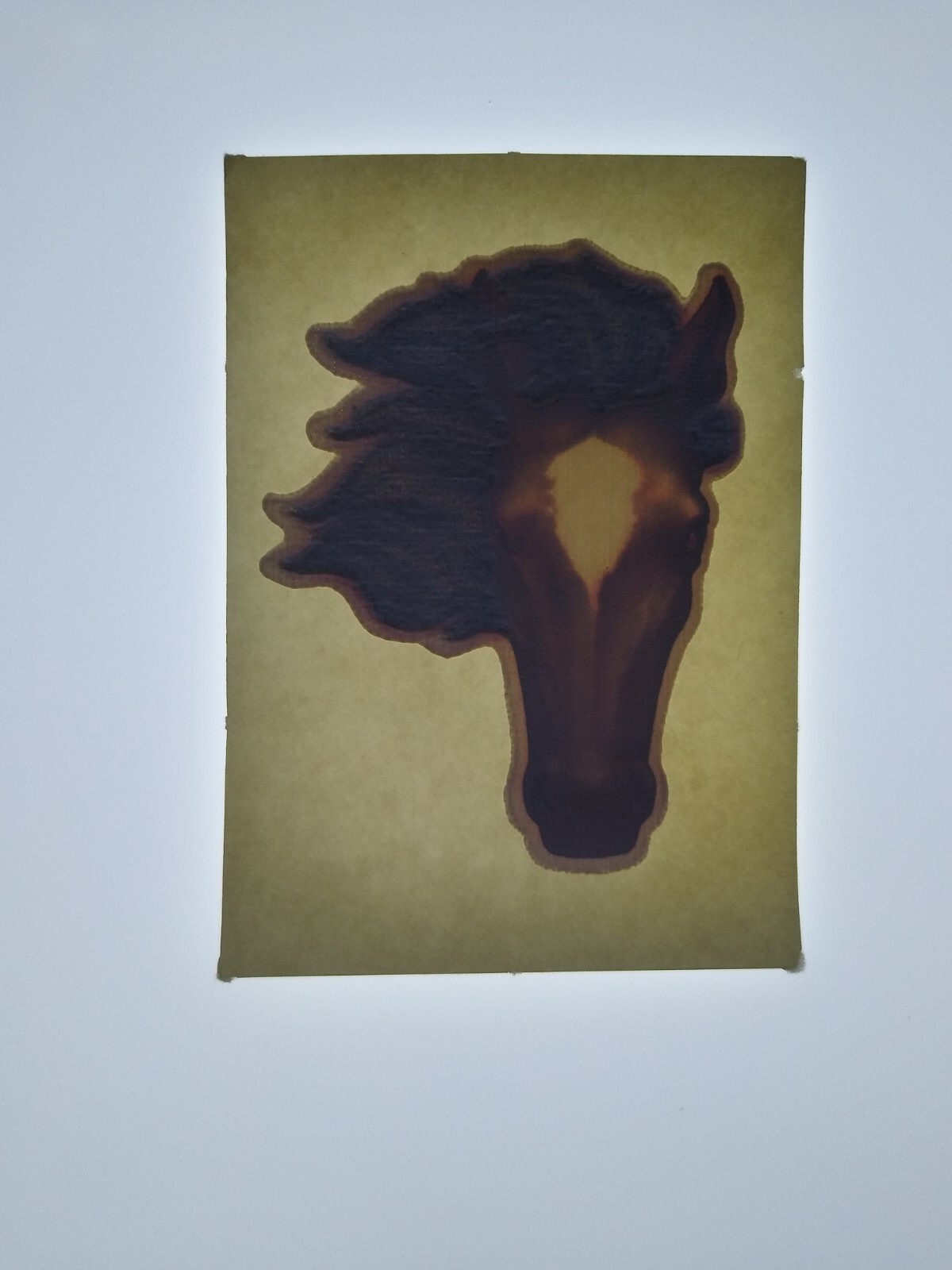 Horse Pony Screamin Gleamin Glitter Iron-On Decal Donruss 1970s Retro Vintage