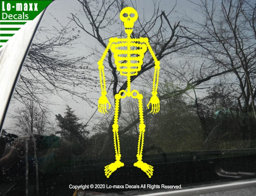 Cool Skeleton Art Original Graphic Design High Quality Die Cut Vinyl Decal