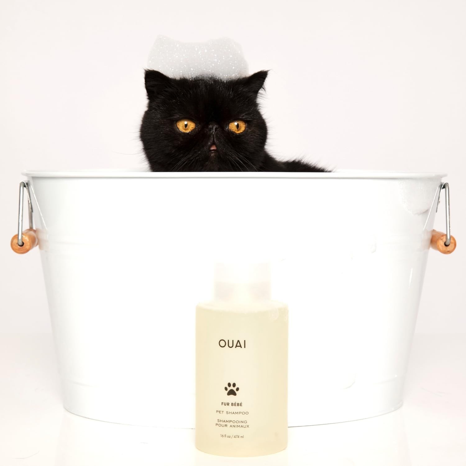 OUAI Fur Bébé Pet Shampoo – Cat & Dog for Gentle 16 Fl Oz (Pack of 1)