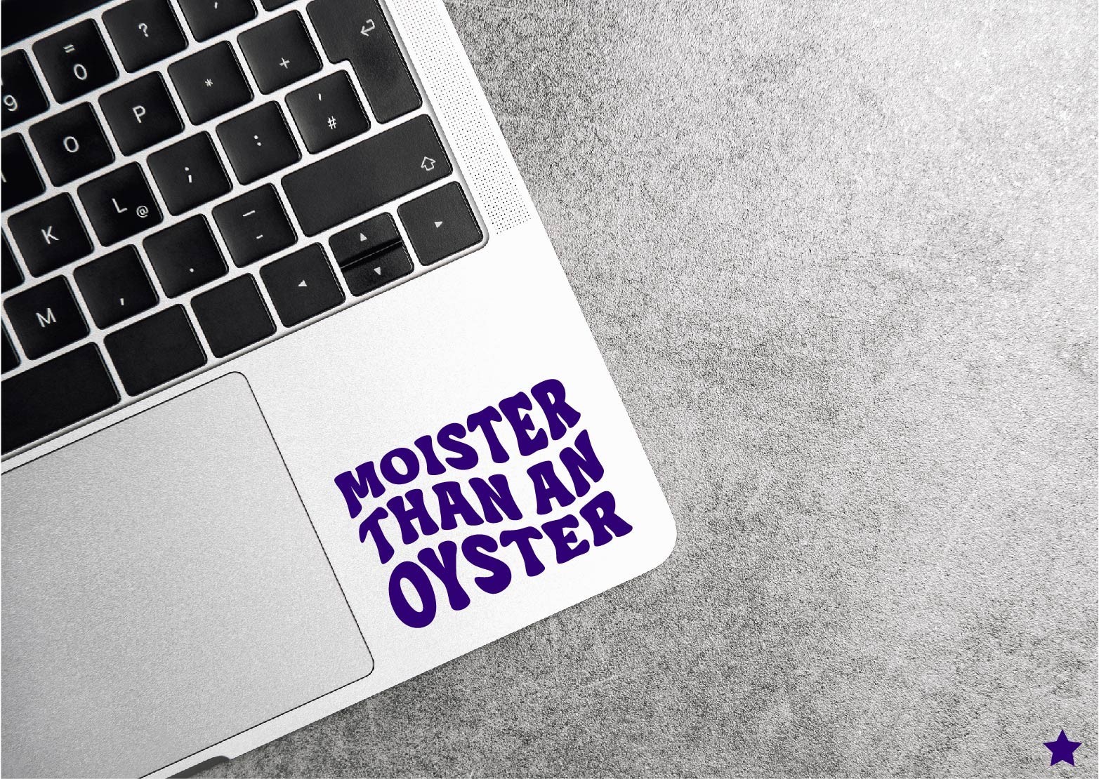 Moister Than an Oyster Decal Sticker Funny Retro Humor Quote Adult Couple Dating