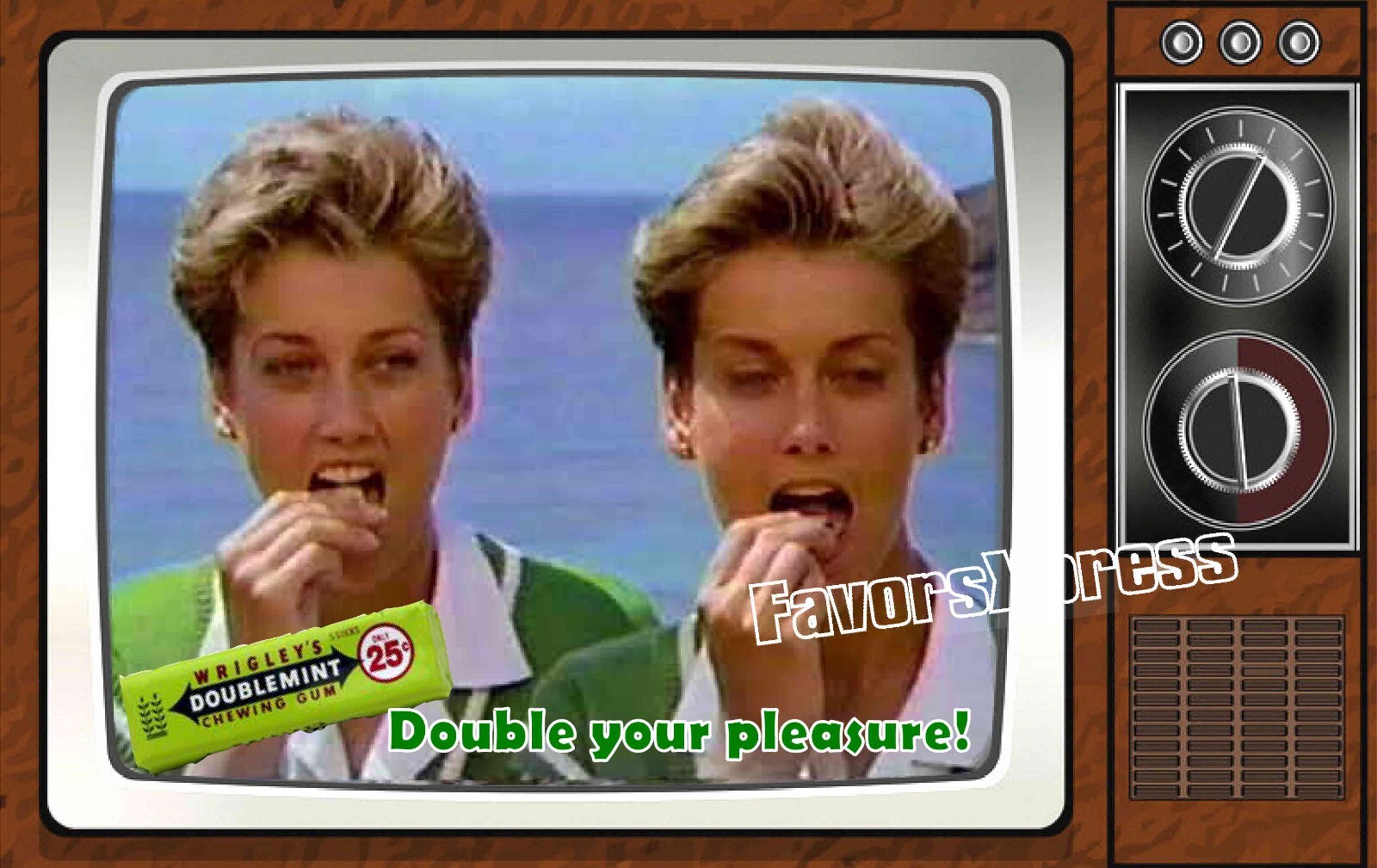 Wrigleys Doublemint Gum Commercial Classic TV Show PHOTO MAGNET 4 X 2.5 INCHES