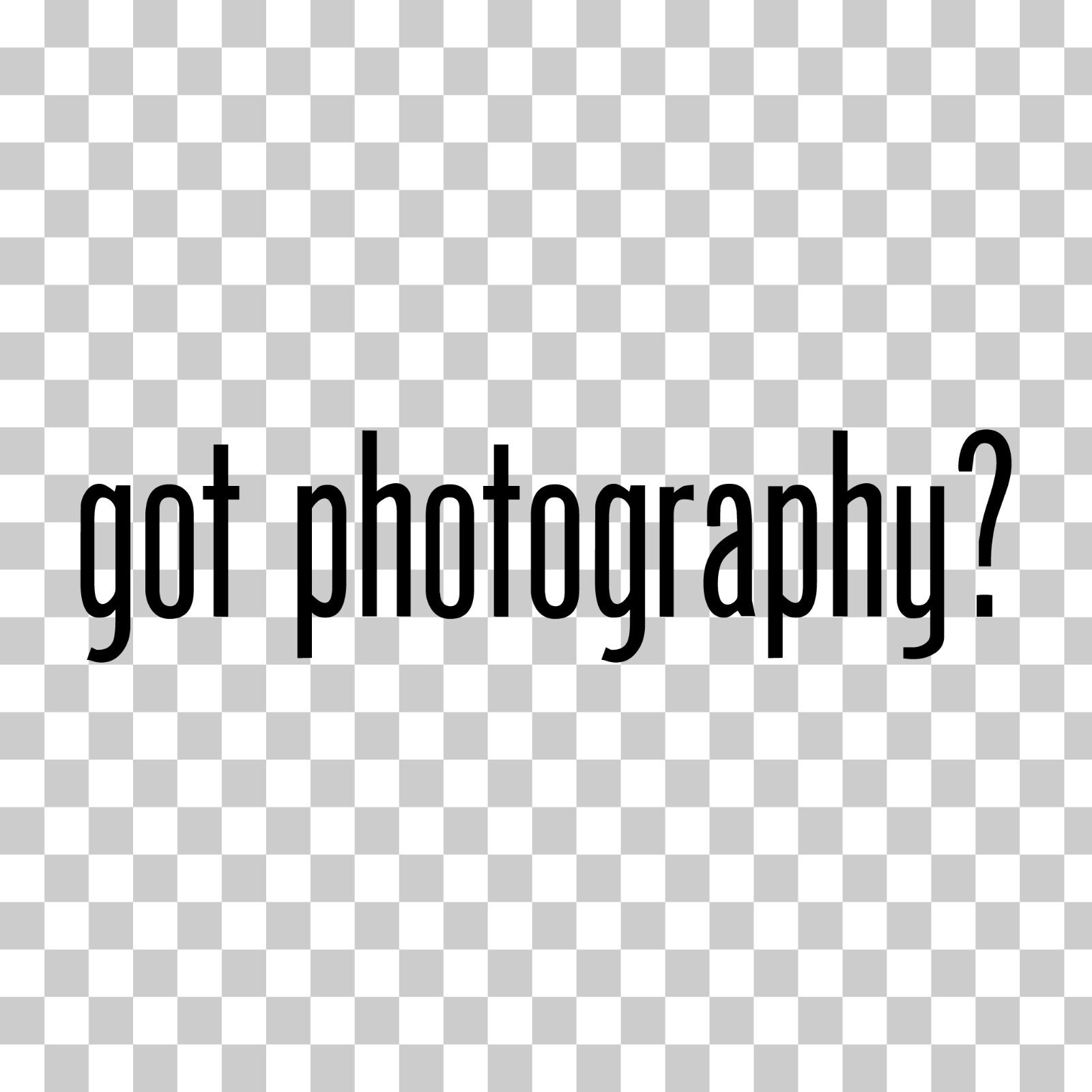 Got Photography? Custom Vinyl Sticker Decal Camera Shoot DSLR Studio