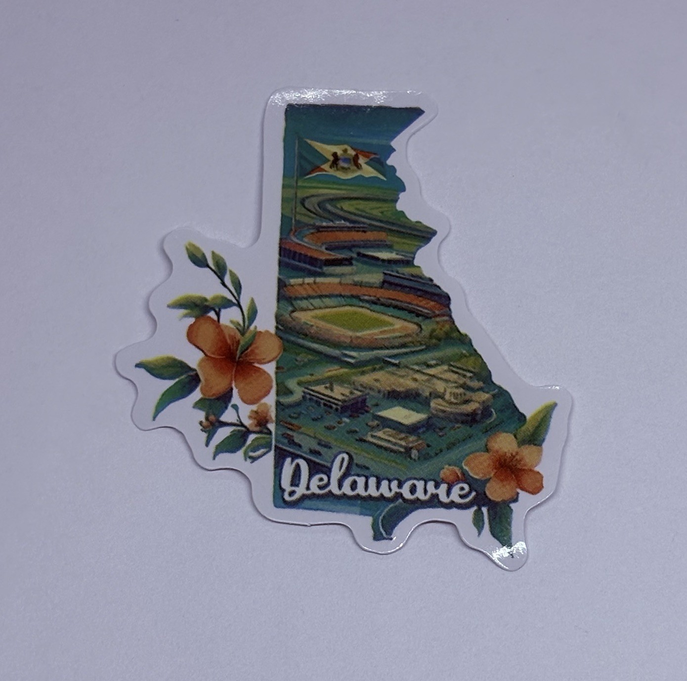 Delaware State Map Sticker Decal Travel Tour Souvenir Journal Baseball Art Tc6