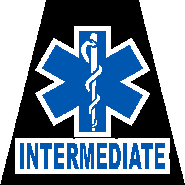 Reflective Black EMS EMT PARAMEDIC AEMT Interm Tetrahedron Helmet Decal You Pick