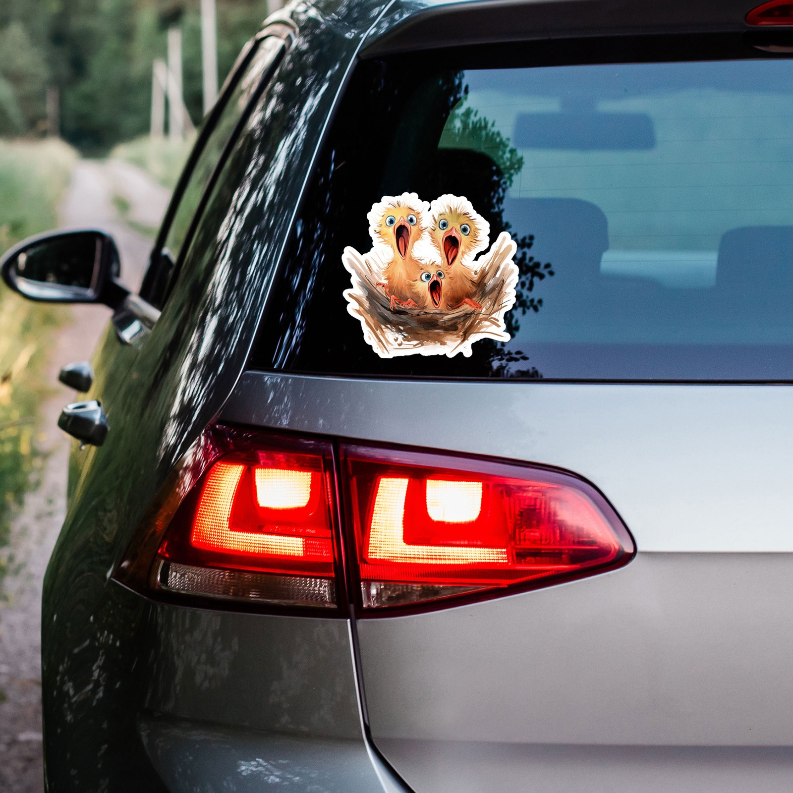 Hungry Baby Birds – Vinyl Decal Sticker – Car Window Laptop – ebn12518