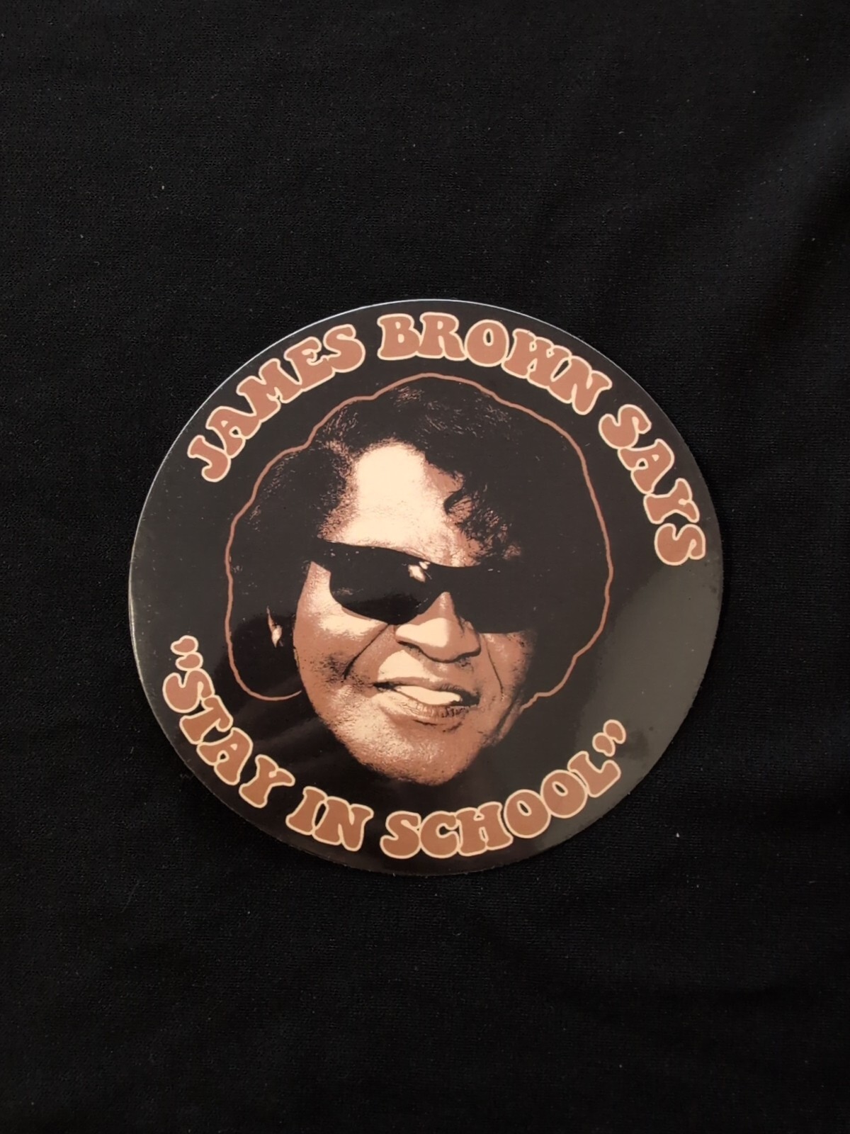 James Brown Say "Stay In School" Bumper Sticker Vinyl Decal 4.5"