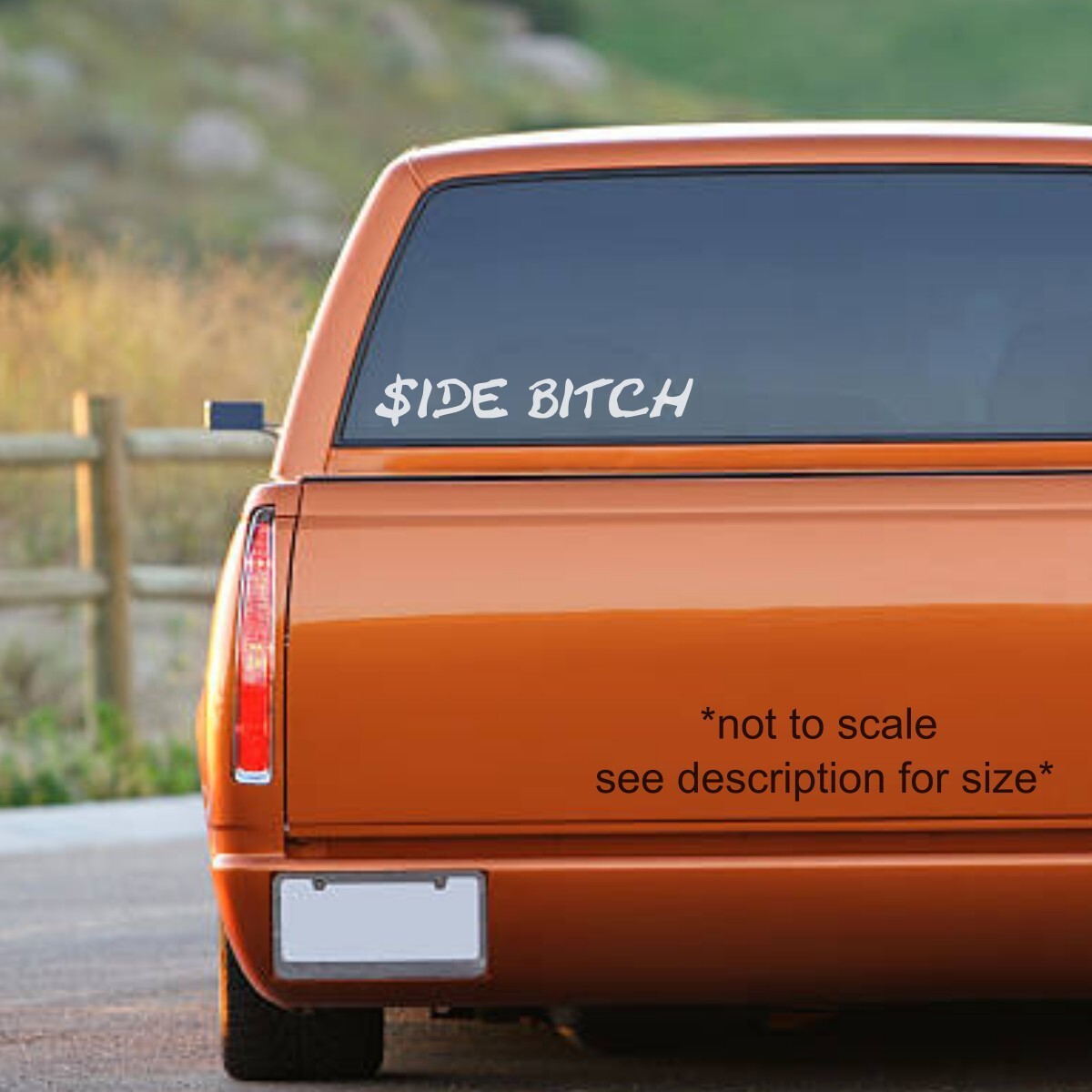 Side Bitch Vinyl Decal- Funny Bumper Sticker, $ide Bitch
