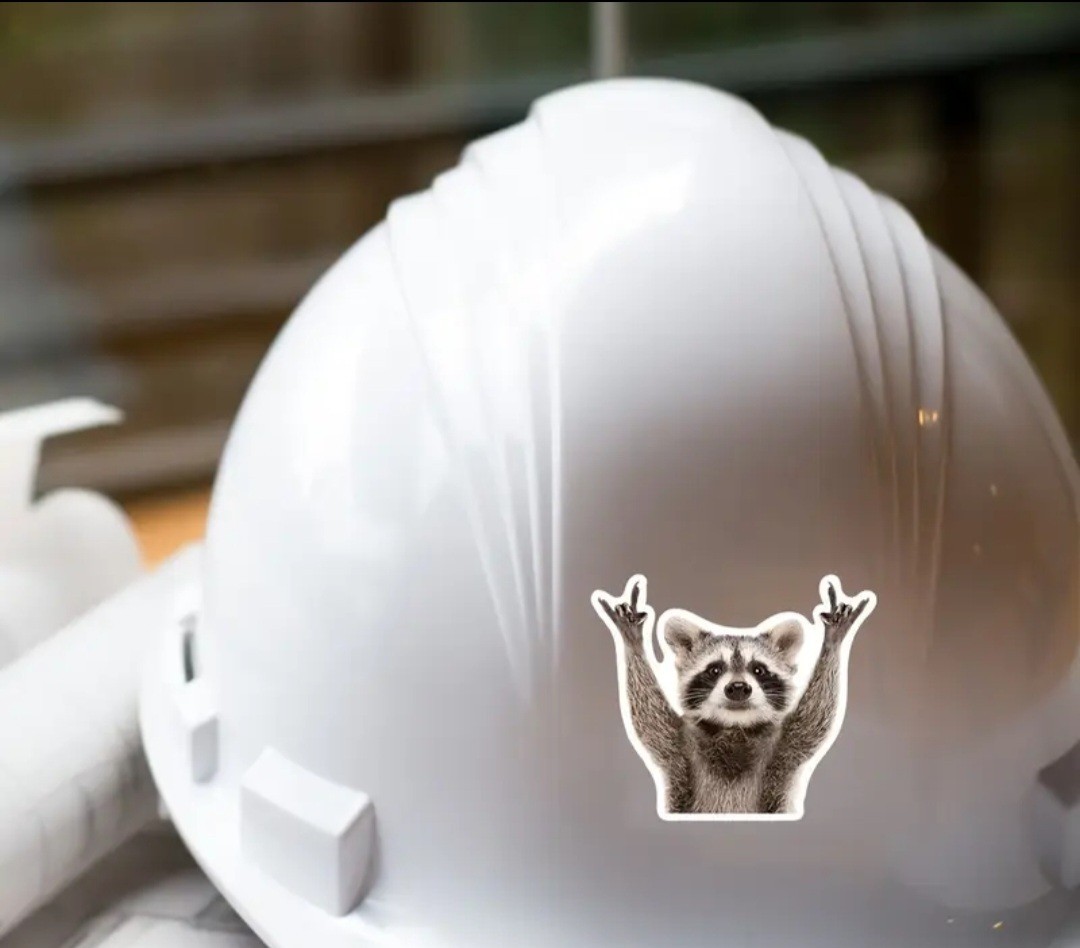 Rocking Raccoon Car Decal Sticker Laptop, Motorcycle Free Shipping 4x4in
